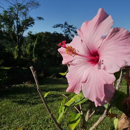 La Joupa Case Anthurium Sainte-Rose Eksteriør bilde