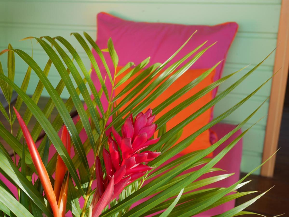 La Joupa Case Anthurium Sainte-Rose Eksteriør bilde