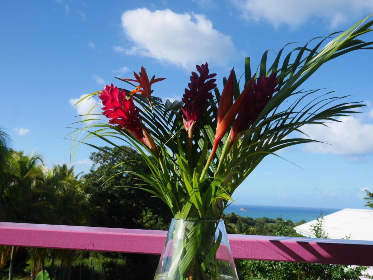 La Joupa Case Anthurium Sainte-Rose Eksteriør bilde